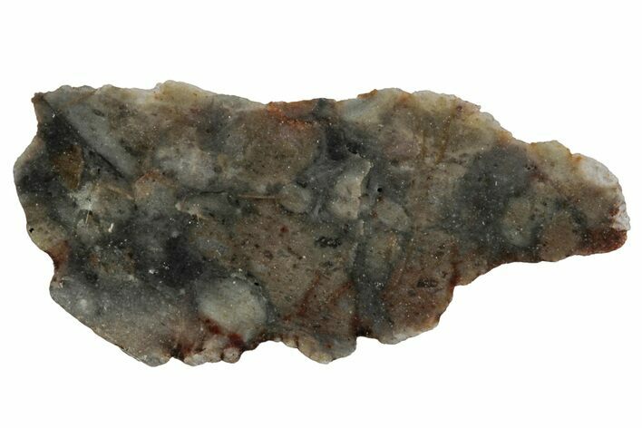 Lunar Meteorite End Cut ( g) - NWA #346551